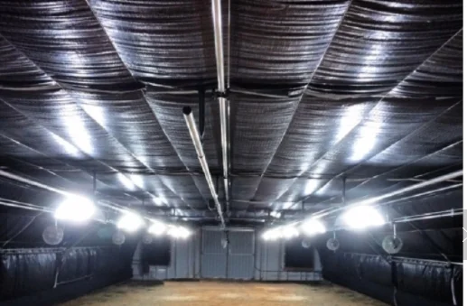 green house plastic agricultural film light deprivation greenhouse for sale