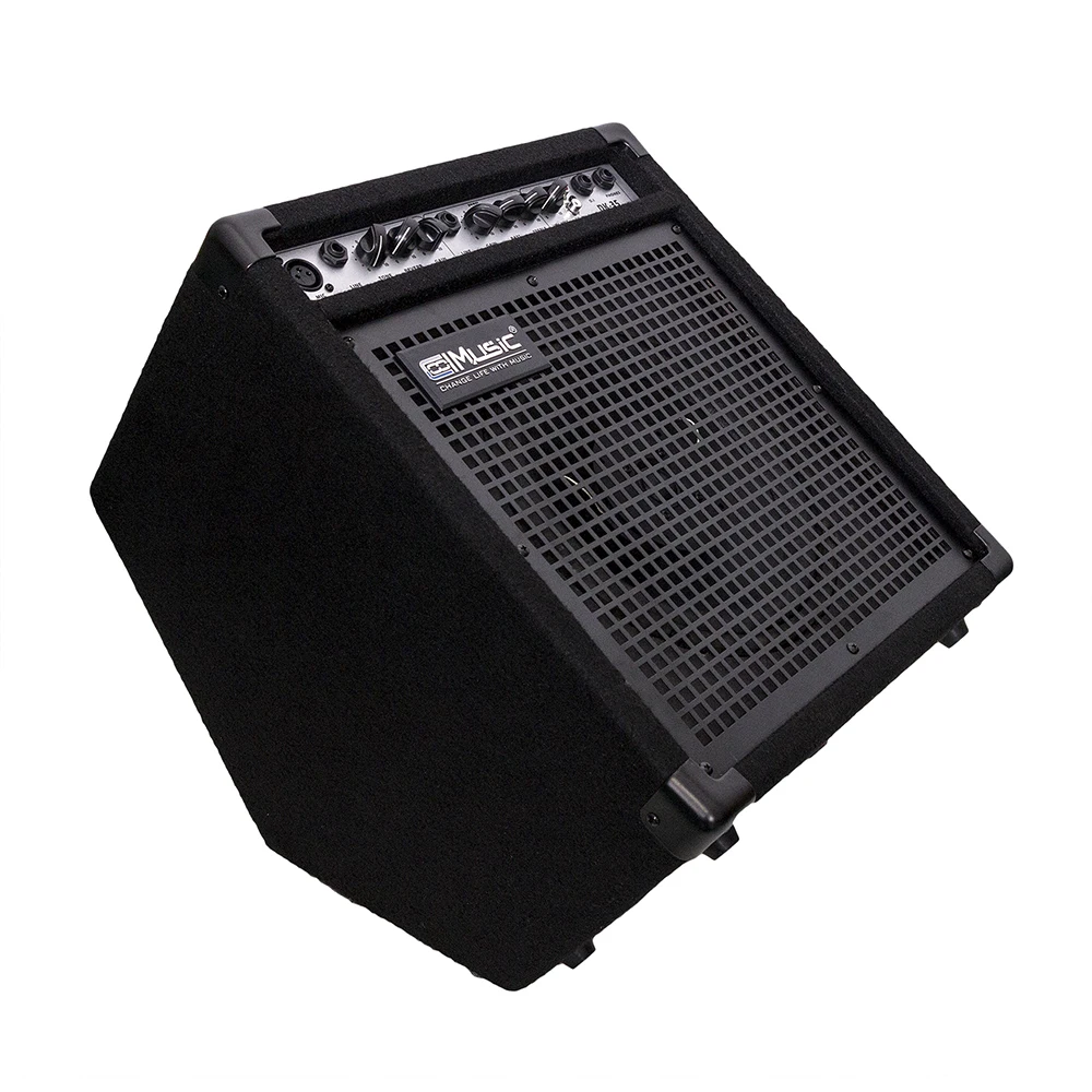 Chinese Electric Guitars 50W Digital Piano Keyboard Amplifier