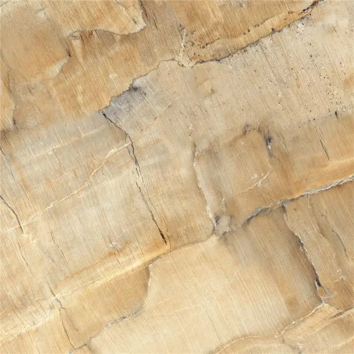 Interior House floor tiles standard size 600*600 well design marble tiles