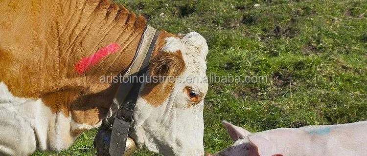 Aerosol Animal Marking Paint Spray