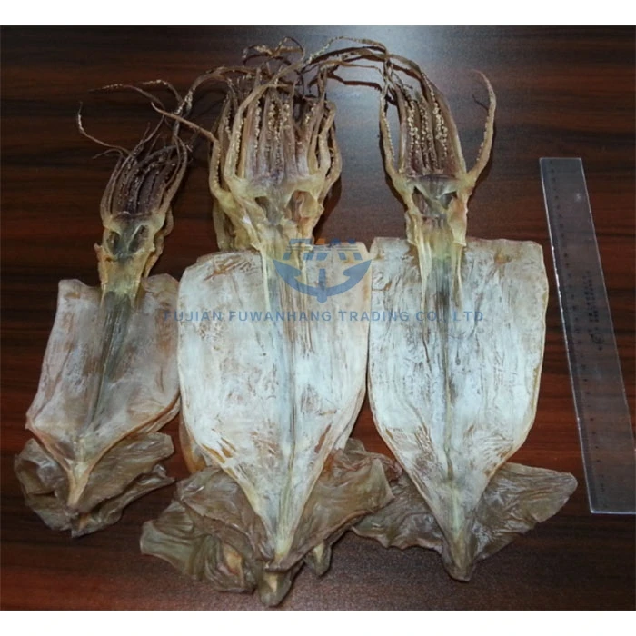 Сушеные морепродукты AD из кальмара от китайского поставщика