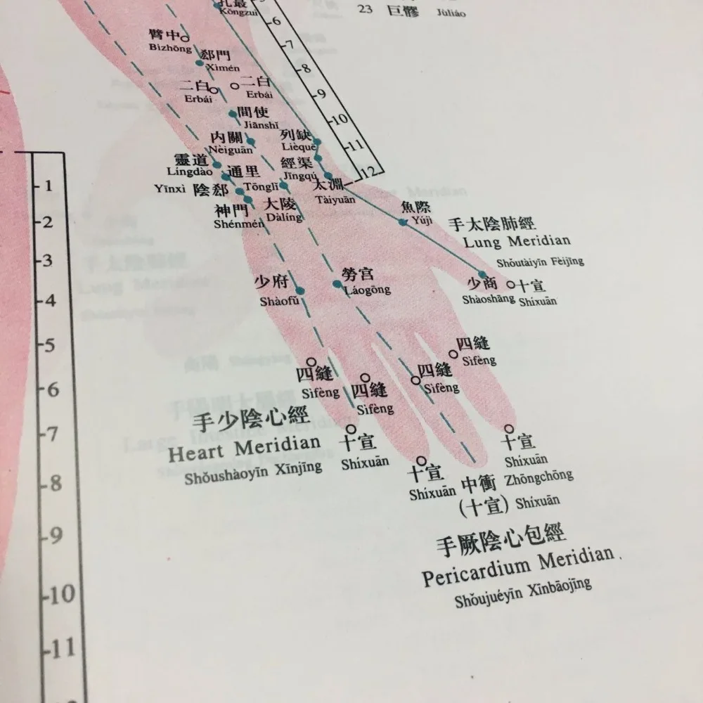Chinese medical Acupuncture Charts points (Front, side, reverse side)