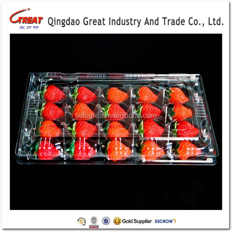 New Design food grade clear blister plastic strawberry packaging box container with 20 cells