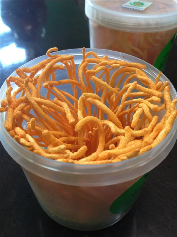 Экстракт Кордицепса китайского, полисахариды грибов