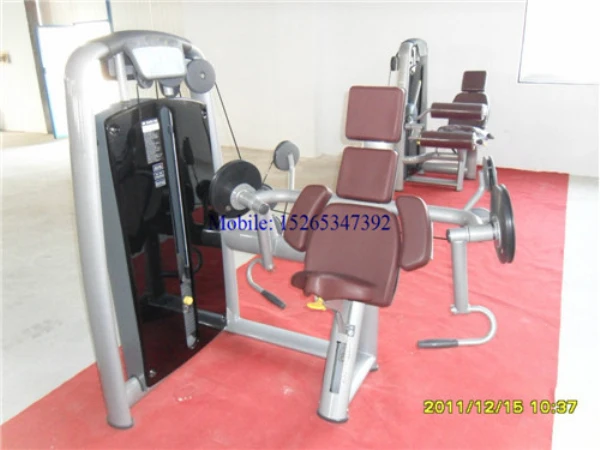 Best Quality Biceps Curl/arm curl Commercial Fitness Equipment Brands Exercise Machine