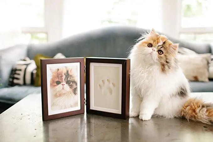 pet memory paw print frame baby hand and foot print frame baby handprint photo frame