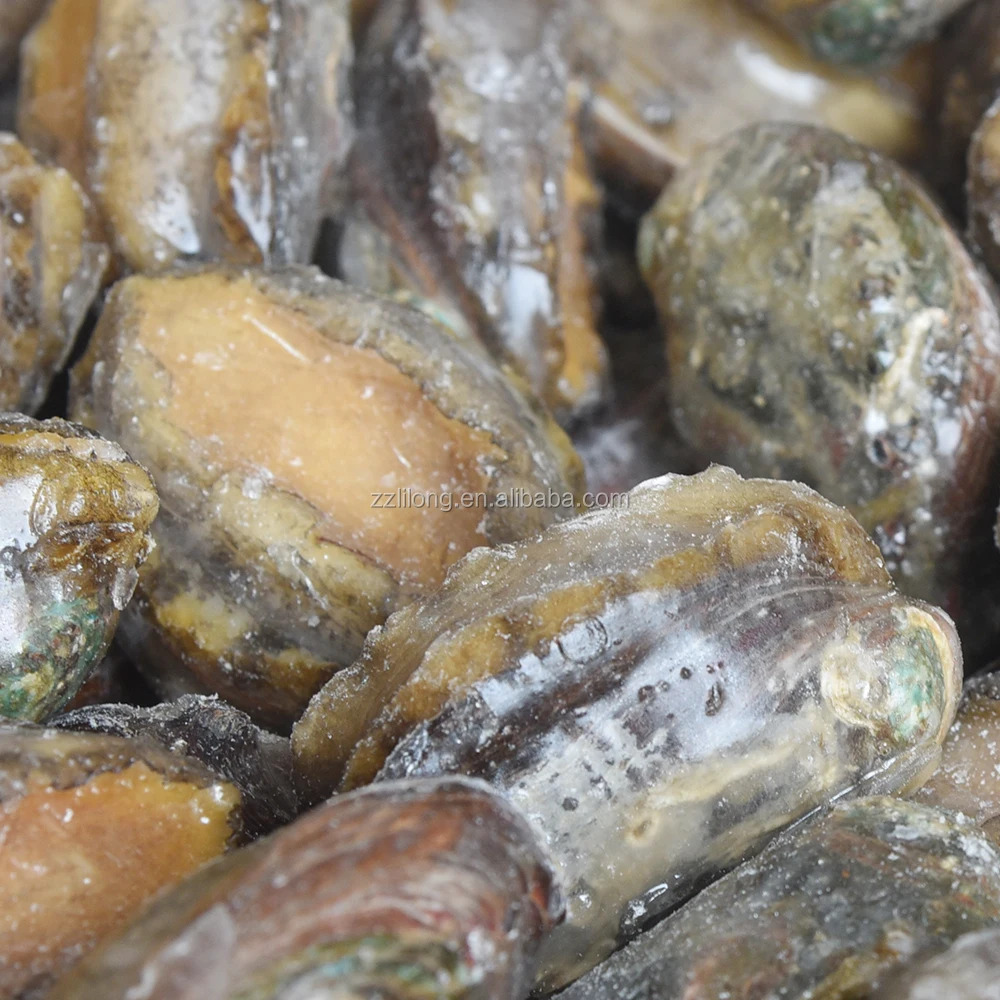 
Frozen seafood wholesale abalone with shell 