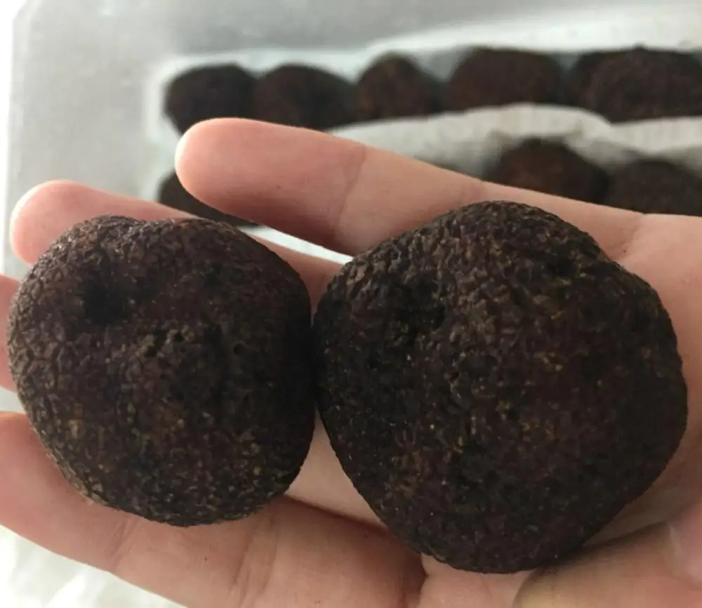 
Detan Fresh Black Truffle Mushroom Price 