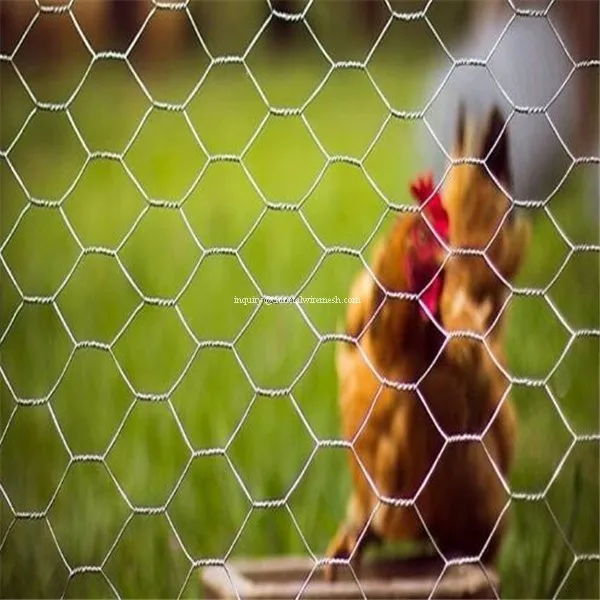 1 inch Galvanized Hexagonal wire netting Chicken mesh Poultry wire mesh