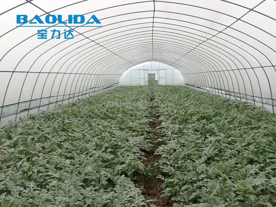 Polytunnel Garden High Quality Plastic  Greenhouse For Agriculture