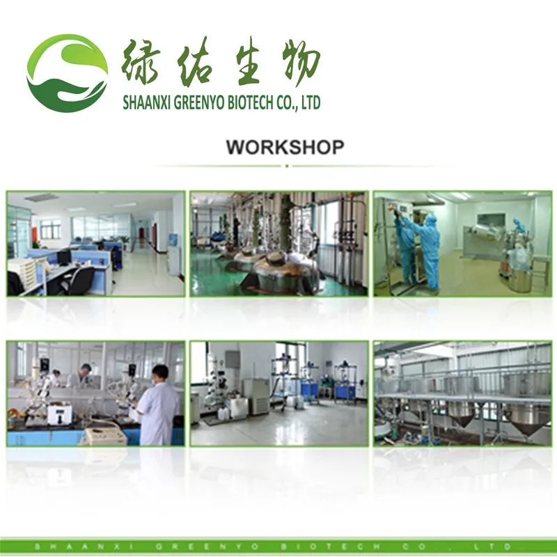 
High Purity Cosmetics Silk Sericin Powder 