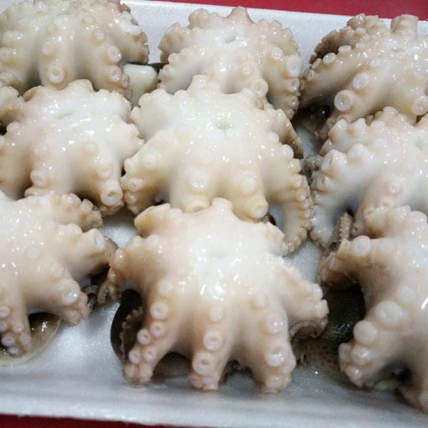 
HIGH QUALITY FROZEN BABY OCTOPUS 
