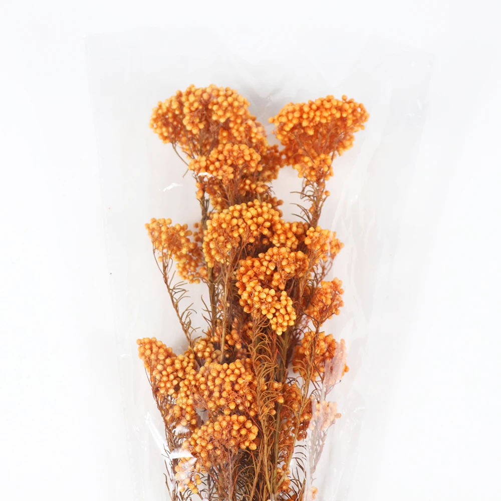
Preserved Flowers Wholesale from Yunnan 