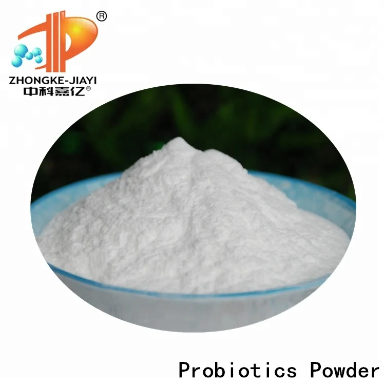 Probiotics 60 Billion Lactobacillus Bulgaricus OEM Solid Beverage