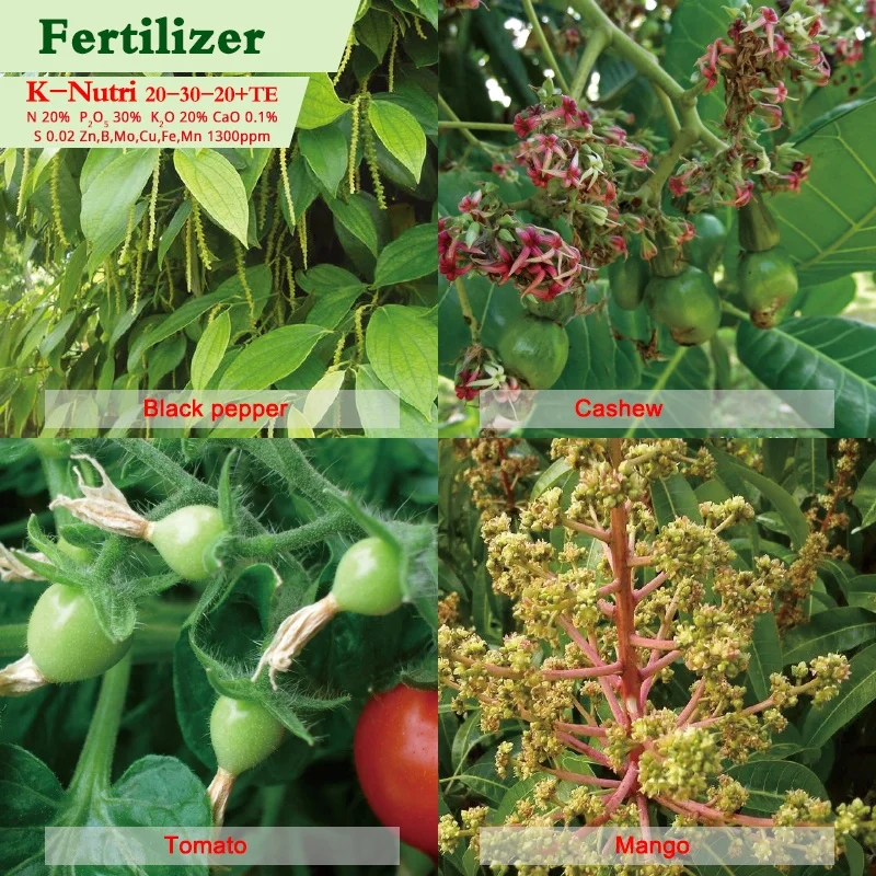  Водорастворимое Композитное удобрение K - NUTRI NPK 20-30-20 +