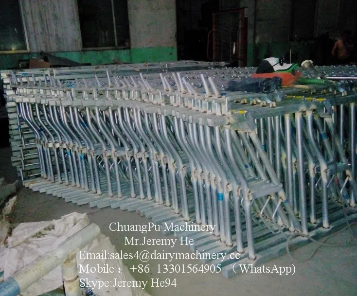 Hot-galvanized Steel Headlock for Cow/Goat /Sheep Dairy Farm