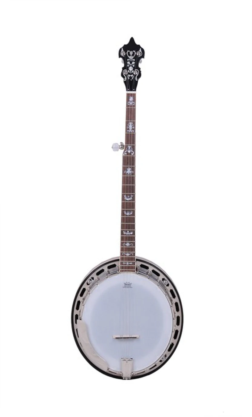 String Instrument Music Instrument Banjo