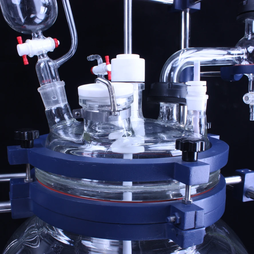 100 Liter Laboratory 20L gg17 Borosilicate Glass Industrial Lab Fermentor Stirred Reactor Bioreactor with Agitator