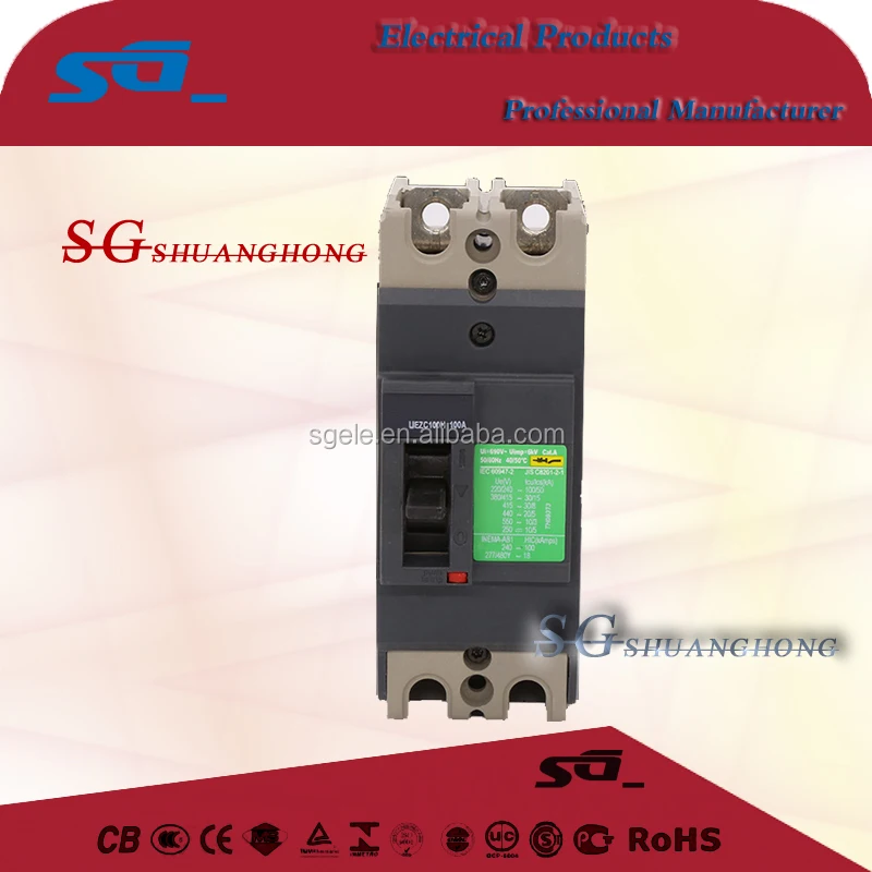 Large capacity 2 pole mccb mold switch case