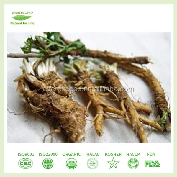 
Organic inulin powder Jerusalem artichoke 90% 