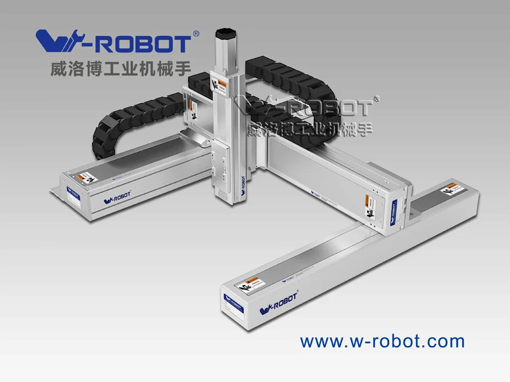 W-robot industrial automatic cartesian robots