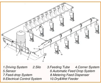 Goldenest pig chain feeding line/Pig rearing equipment