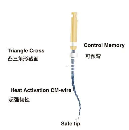 Newest Blue Niti Activation Soft File