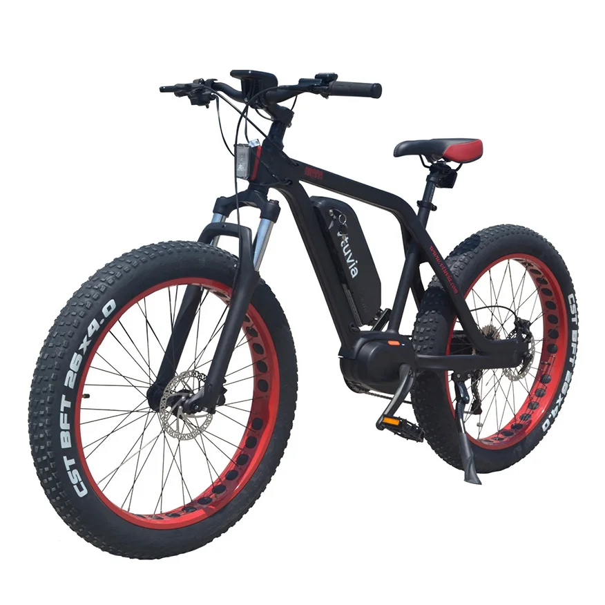 Fastest 10 speed ebike fat tire mid drive electric bike bicycle