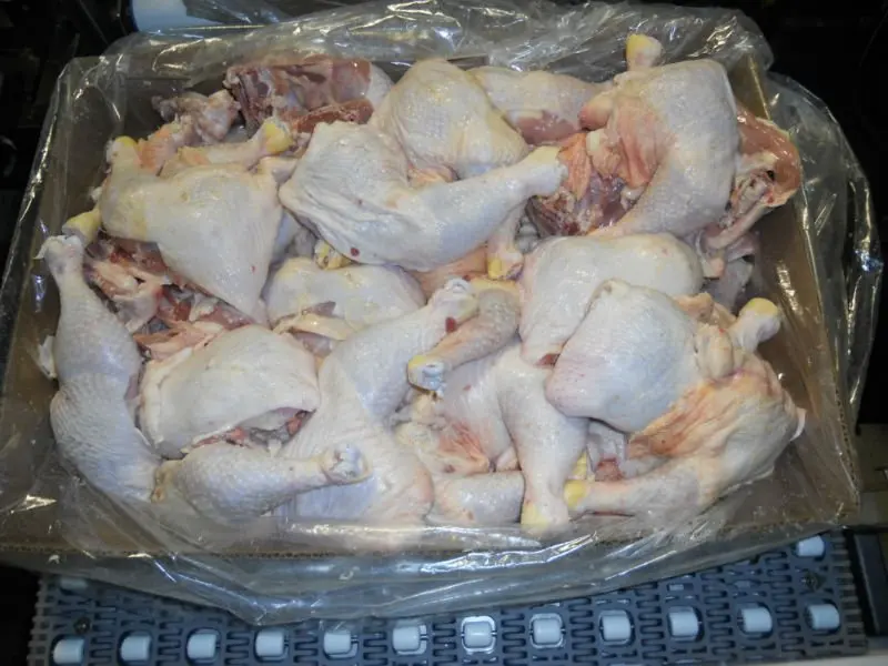 Frozen Chicken