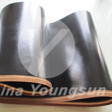 PTFE Conveyor Belt For UV Tunnel Drying And Fusing Machine