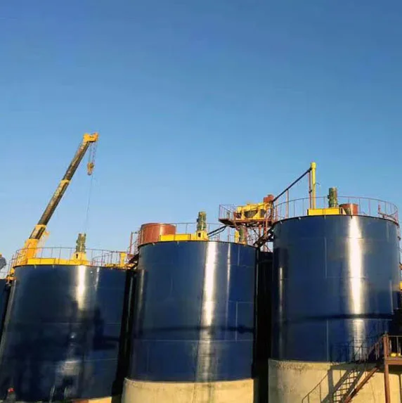 2019 New Complete Set 500tpd - 2000tpd Gold CIP Processing CIL Plant