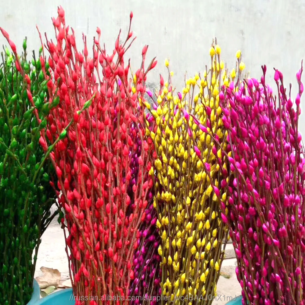 Оптовая продажа свежих цветов вербы на новый год с цветочной упаковки