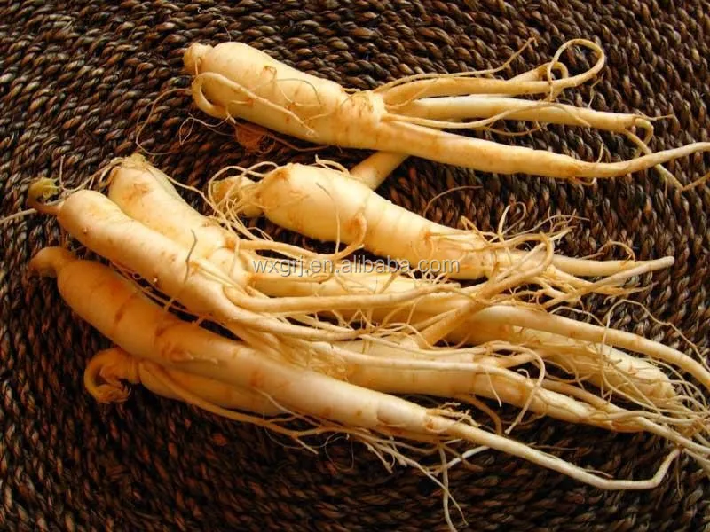 Panax ginseng extract Panax extract PanaxginsengC.A.Mey. 80% UV