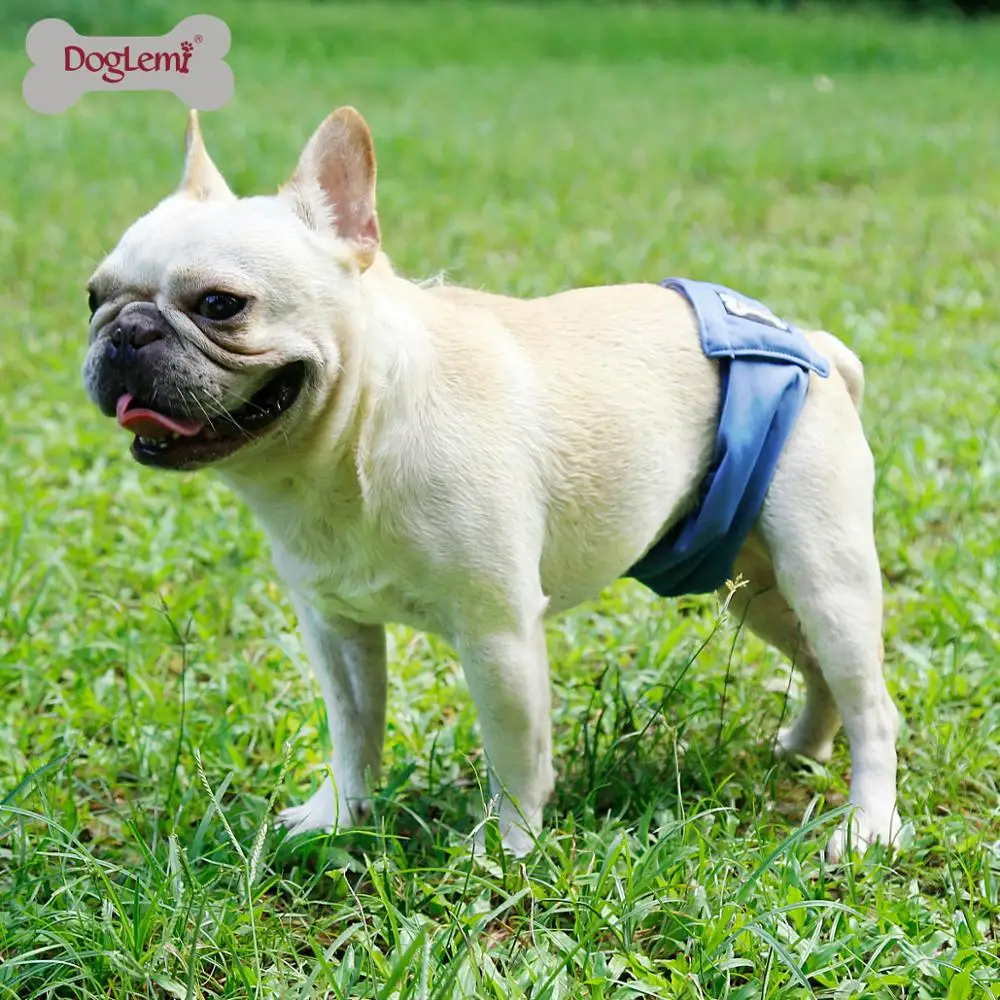 
Diaper Washable Dog Belly Band Wrap Male Pet Waterproof Diapers 