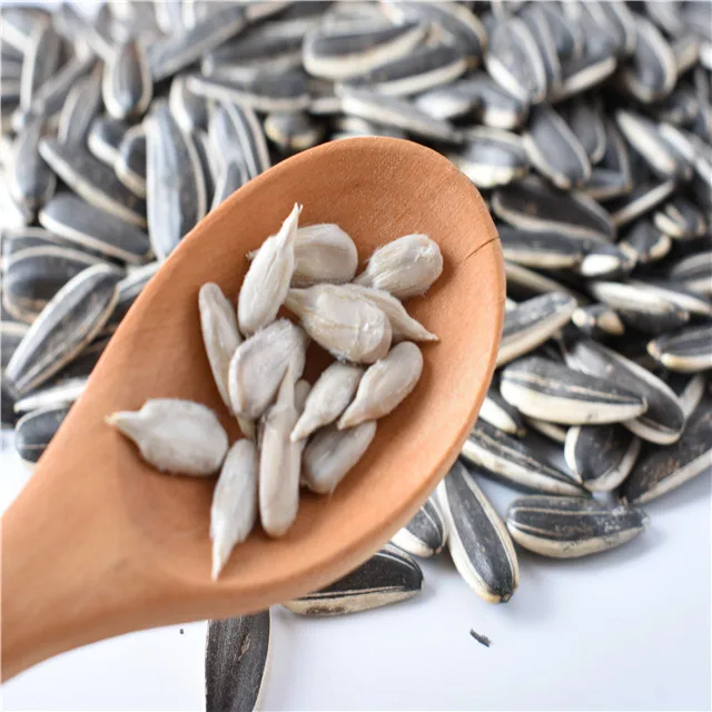 high quality hot sale cheap sunflower seeds for  Human consumption At Best Price