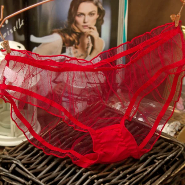 SP4072A Sexy Mesh Transparent New Women Triangle Panties