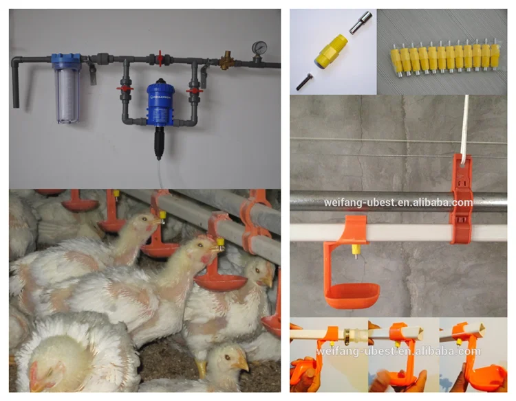  Фабрика автоматическое оборудование птицефабрика подойдут большие фермы