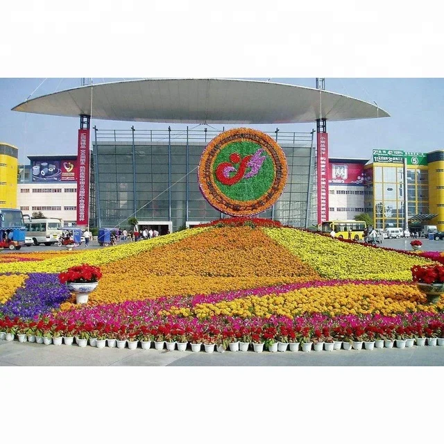 Китайский агент/агент рынка ИУ/агент по покупателям