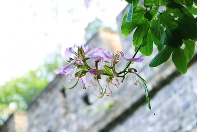 Factory Price Single Sided PET High Glossy Inkjet Photo Paper 230gsm A4 Waterproof