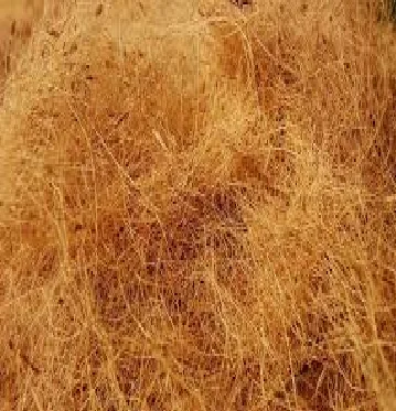 Coconut Fiber