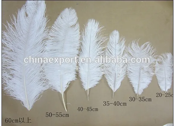 
Carnival Wedding Decoration Cheap White Ostrich Feather 