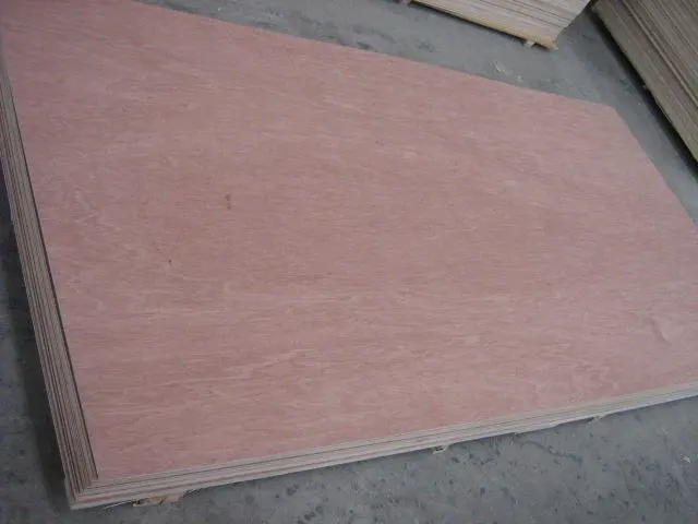 bintangor plywood with 1250x2500mm