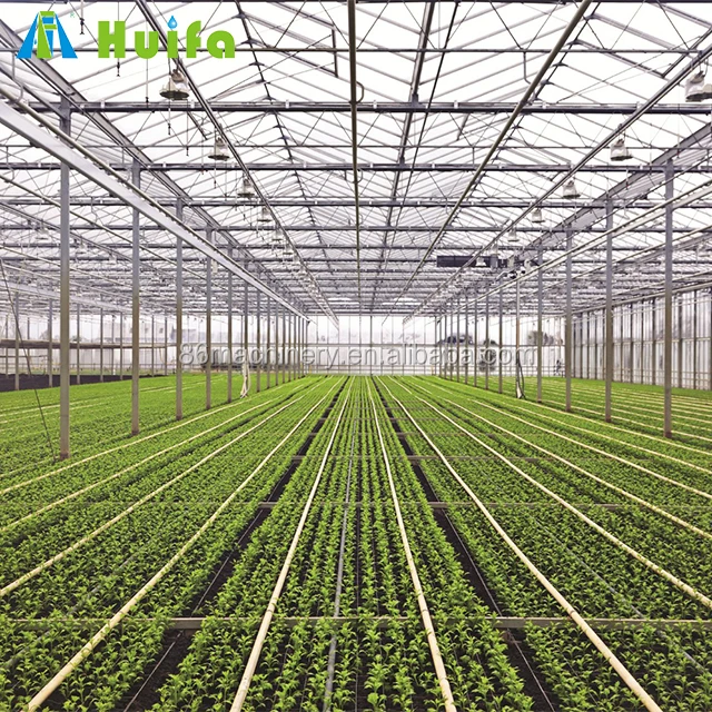 Metal Frame Commercial Multi Span Greenhouse