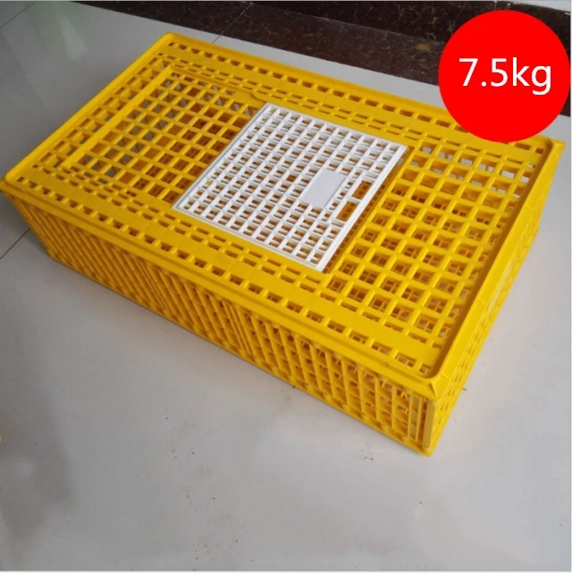 Live Chicken to Transport Cages for Sale Transport Basket New Product 2023 Provided Bearing Chicken Crates Professional Plastic