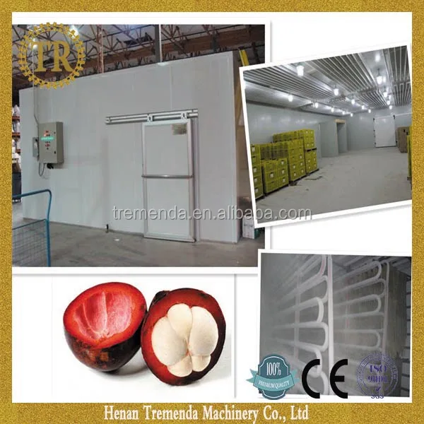 
durable 5000t tomato cold storage room for sale 