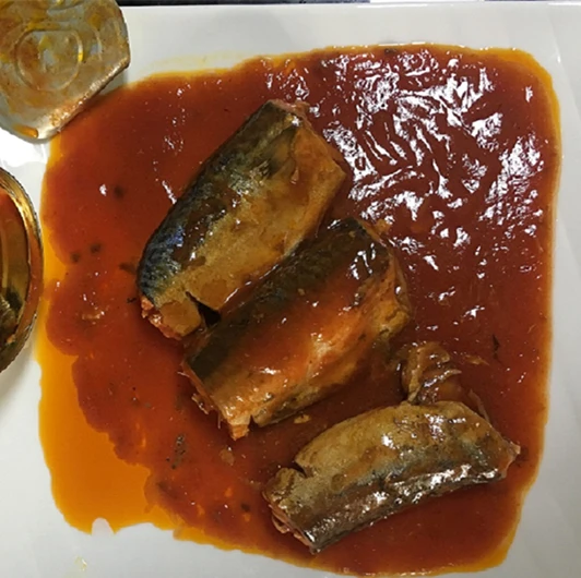 
hot sale canned mackerel fish from china 