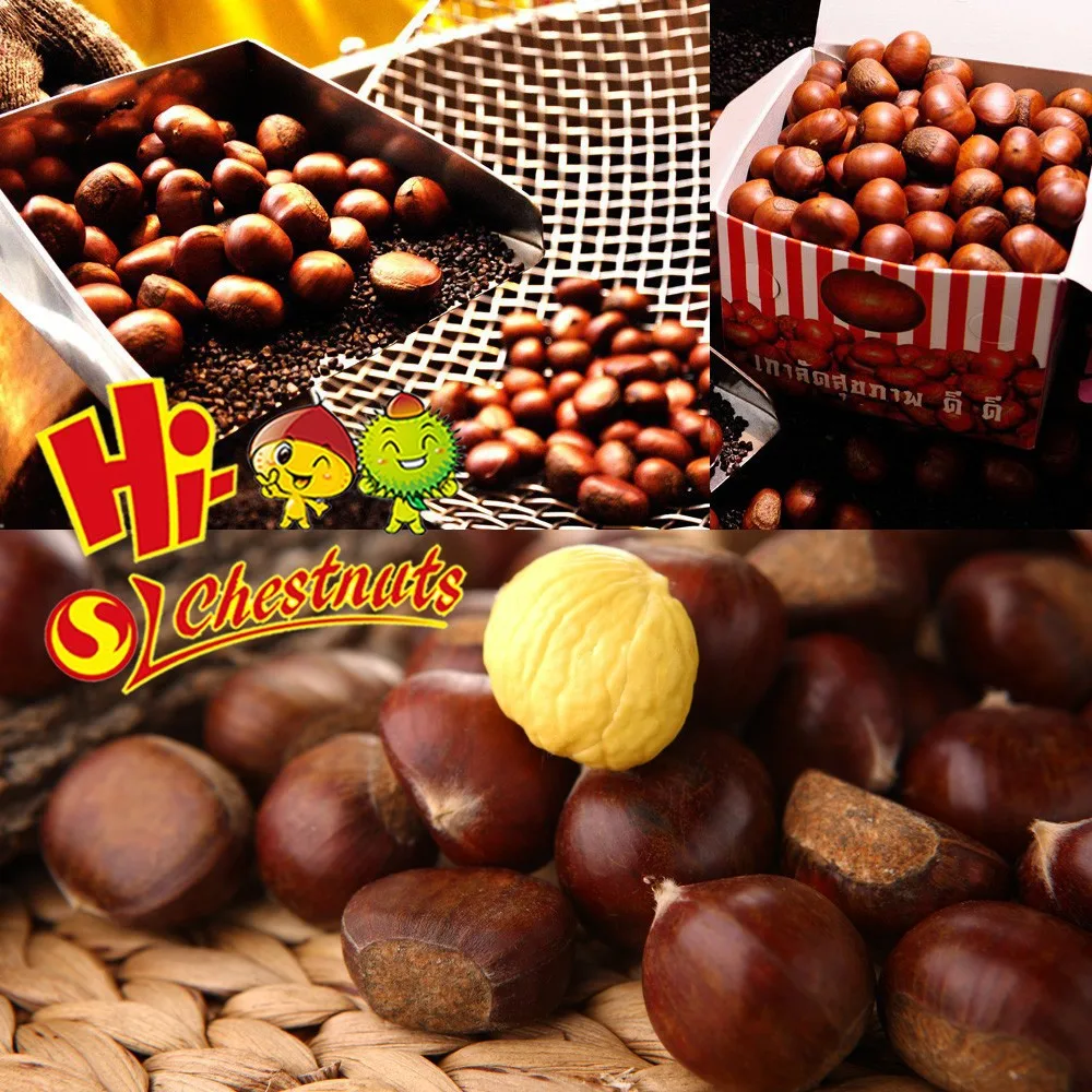 Bulk Fresh Chestnut chinese food wholesale frozen raw food
