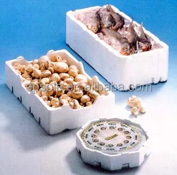 Foam Expandable Polystyrene Professional Customization EPS Moulds