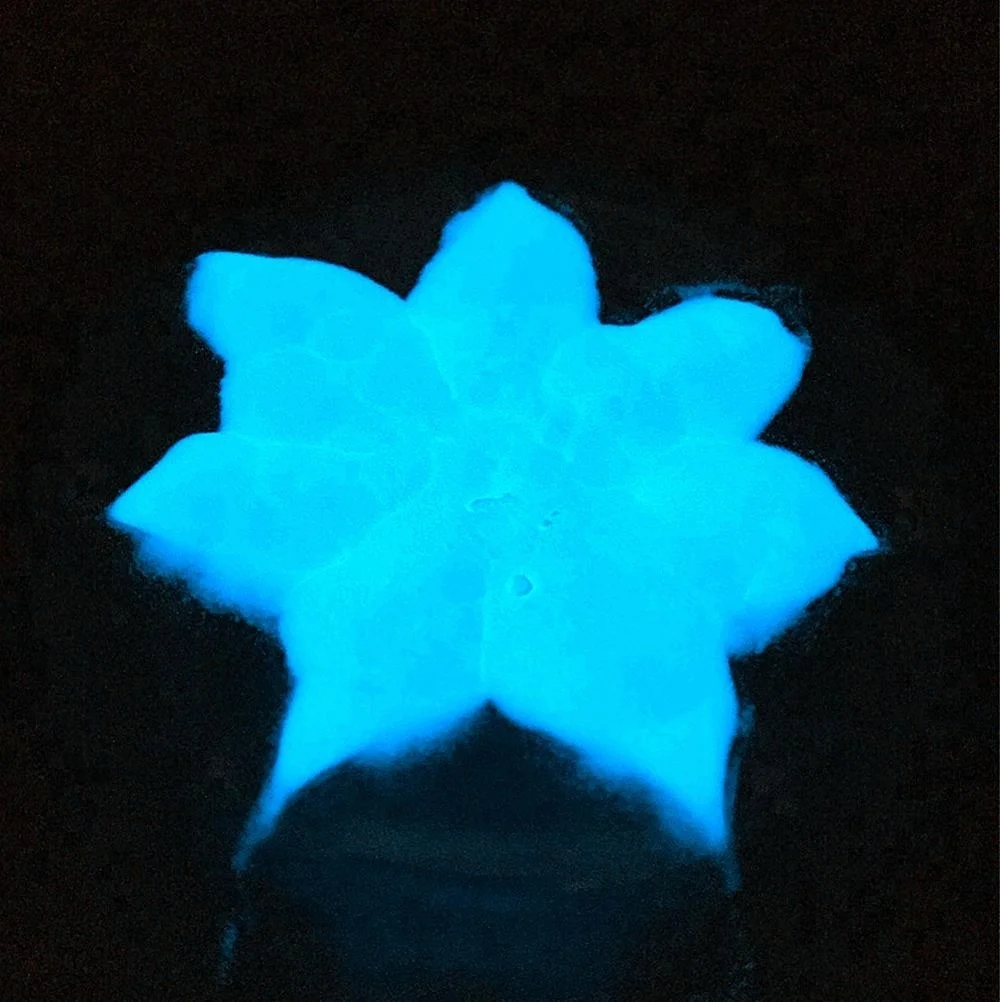 1 кг-5 кг, водонепроницаемый светящийся порошок, оптовая продажа, быстропоглощающий свет, фотолюминисцентный пигмент