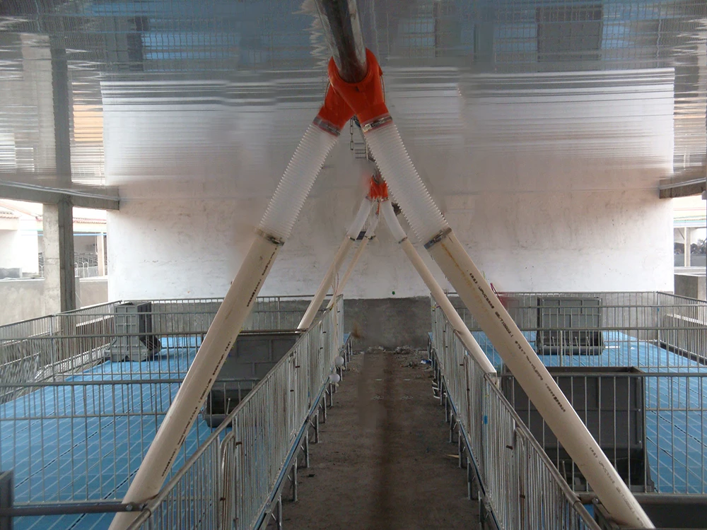 Goldenest pig chain feeding line/Pig rearing equipment
